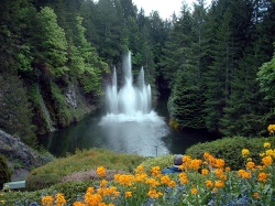 Click here to view the photos available in this gallery.